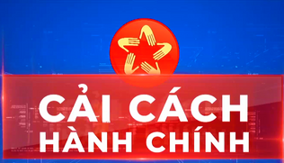 Văn bản triển khai công tác cải cách hành chính năm 2021